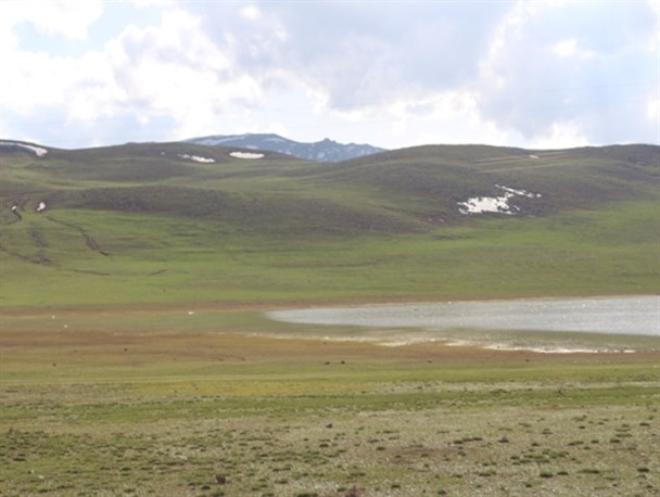 آغاز مهاجرت پرندگان مهاجر به تالابهای چالدران