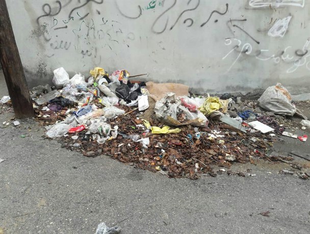 مشکلات زیست محیطی در کمین بندرعباسی ها/ کمبود سطل زباله دغدغه بزرگ شهروندان درخت سبز !