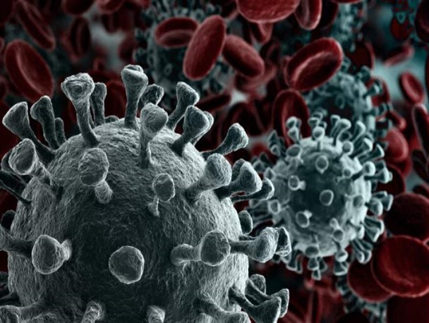 افزایش روند بستری و موارد مثبت در بردسکن/ تعداد مبتلایان به کرونا به ۳۴ نفر رسید