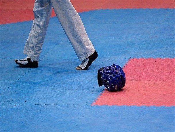 رئیس و دبیر کمیته تکواندو فراکسیون ورزش، مشخص شدند