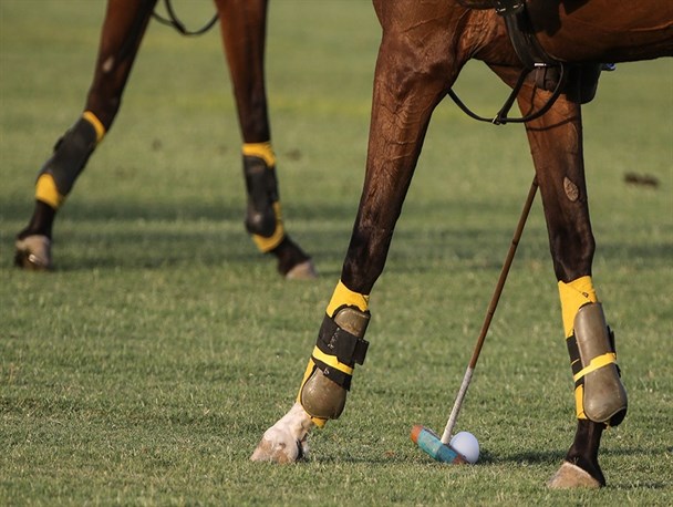 ممانعت شرکت توسعه و نگهداری اماکن ورزشی از ورود چوگان‌بازان به باشگاه شهدا/ شکایت چوگان بازان به پلیس!+عکس