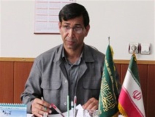 کشت فلت ذرت برای اولین بار در اندیمشک