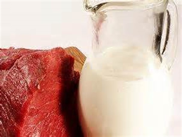 ۵ درصد گوشت قرمز و ۲.۷ درصد شیر کشور در استان مرکزی تولید می شود