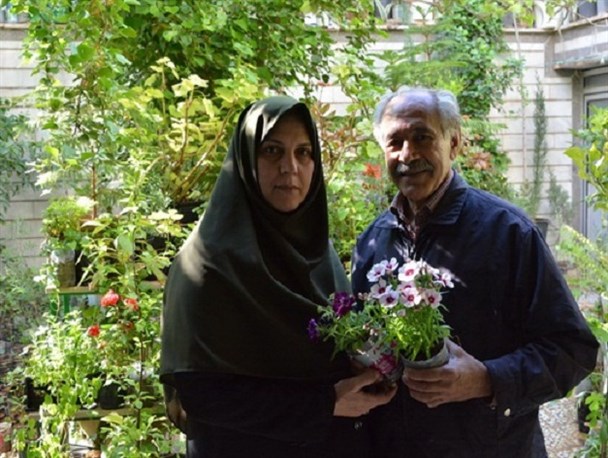ناگفته های پدر بلوط ایران از "ابتکار"/ مسئولین از زوال بلوط شانه خالی می کنند+تصاویر
