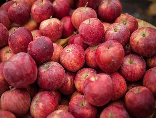 از واردات سیب پاکستانی در ‌آستانه عید تا به رودخانه ریخته شدن سیب‌ها در پاسخ به سیاست های غلط!