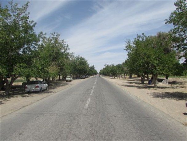 روستای اسماعیل آباد خاش؛ پایتخت "توت" و "سبزی" سیستان و بلوچستان + تصاویر