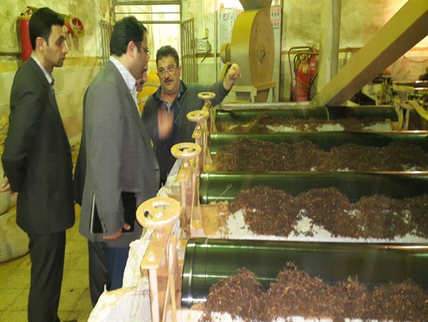 بازدید روسای دانشگاه آزاد از کارخانه چای لاهیجان