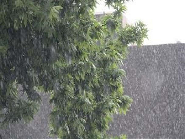 بارش 10 میلی متری باران در جغتای