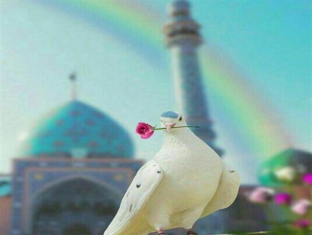 زمینی تشنه به دنبال منجی