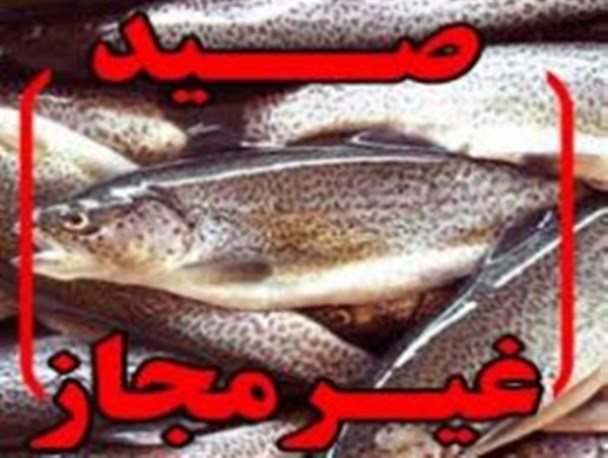 صید غیرمجاز در سد ارس معیشت مردم را تهدید می‌کند