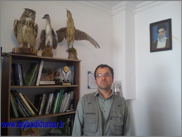 تاکسی های تایباد مزین به شعار هفته محیط زیست می شوند+تصویر