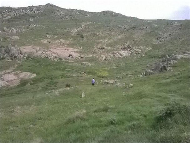 احشام هم از چرا در مراتع طارم محروم شدند+تصاویر