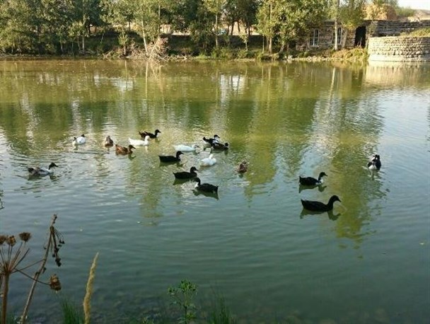 طبیعت زیبای نیر به روایت تصویر