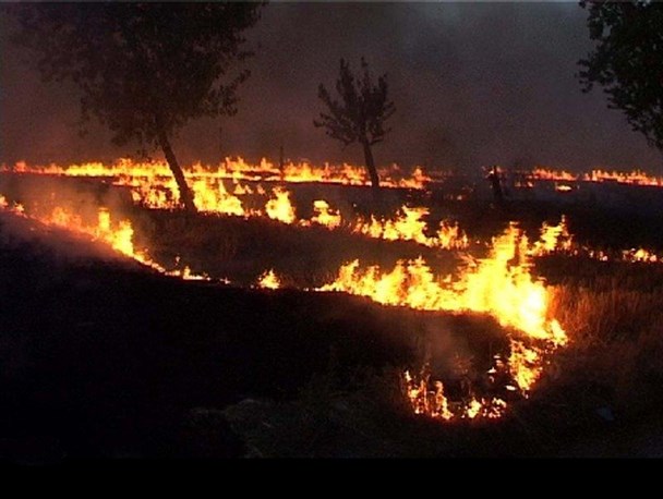بقایای گیاهی موجود در مزارع کشاورزی را آتش نزنید