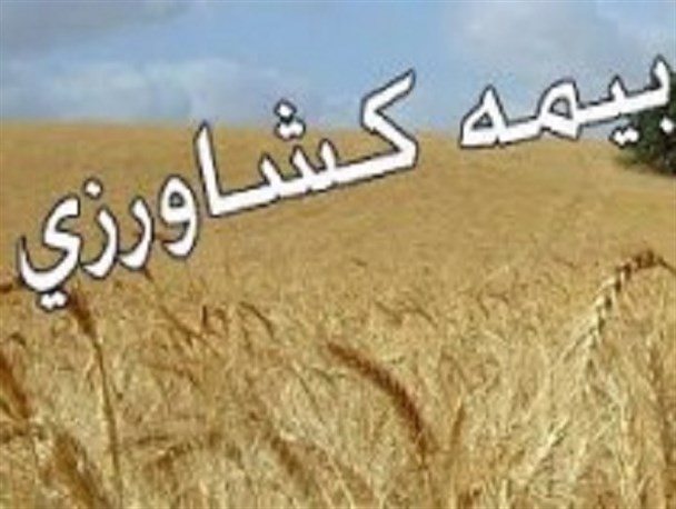 عدم پرداخت بیمه کمر کشاورزان بادرودی را خم کرد/ بی توجهی به کشاورزی خلاف اقتصاد مقاومتی است