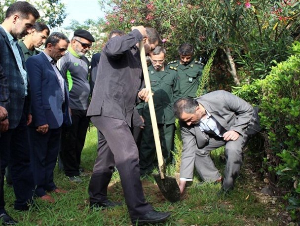 نهال کاری در محوطه مزار پنج شهید گمنام آمل+ تصویر