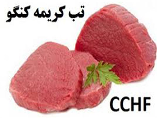 وضعیت تب کریمه کنگو در استان کرمان جای نگرانی ندارد/با رعایت چند نکته به راحتی می توان از ابتلا به بیماری نجات یافت