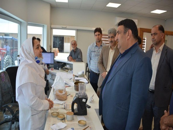 تاکنون ۱۵۳۸۰ تن گندم توسط کشاورزان کردکویی برداشت و تحویل مراکز خرید شد