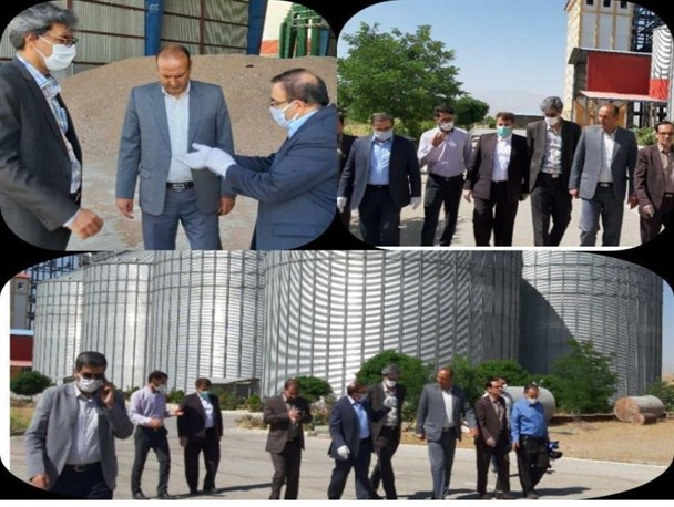 خرید تضمینی گندم از اول تیر/ ۶۰ مرکز خرید در استان همدان