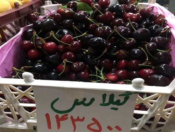 کام تلخ یاسوجی‌ها در بی‌تفاوتی مدیران به قیمت‌های لاکچری