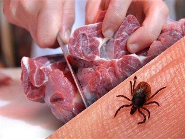 ابتلاء دو خوزستانی به بیماری تب کریمه کنگو