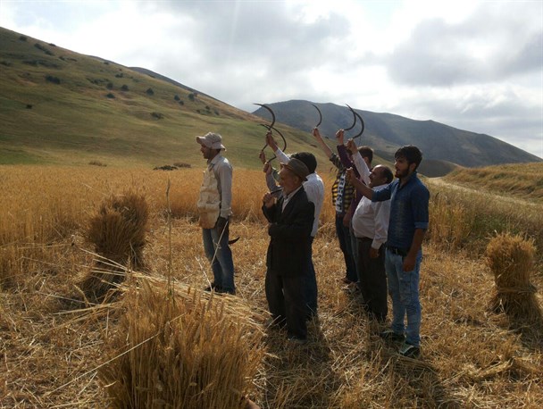 رسم دیرینه آللاه‌لاما در روستای آلیله گرمی