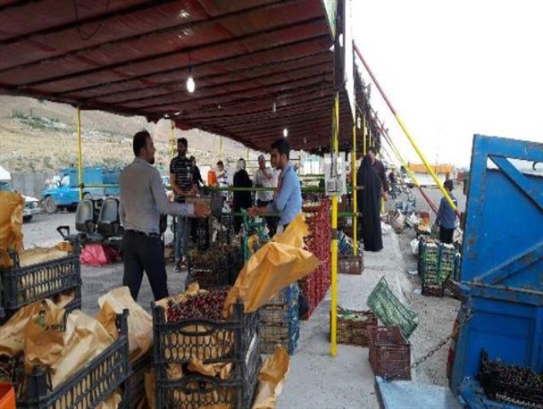 راه‌اندازی میدان میوه و تره‌بار با بیش از ۴۰ غرفه محصولات باغی در روستای جابان/ احداث میدان میوه و تره‌بار سرپوشیده در روستای جابان نیازمند مساعدت مسئولان است