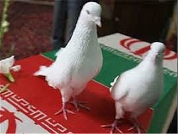 یادگاری‌های دوران جنگ «عباس رضوی» را به درجه رفیع شهادت رساند