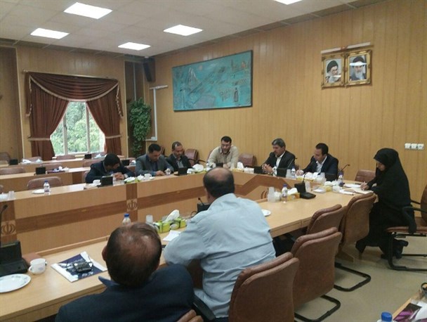 طرح جنگل‌کاری میوه مثمر در ۲۰۰ هکتار تصویب نشد