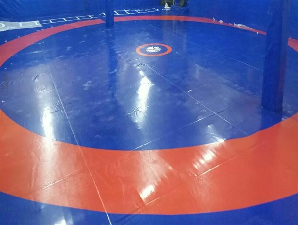 مجمع فدراسیون کشتی آنلاین برگزار خواهد شد