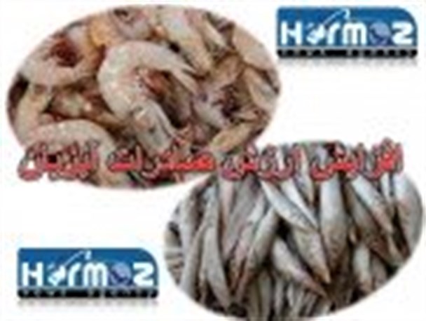 افزایش ارزش صادرات آبزیان در هرمزگان