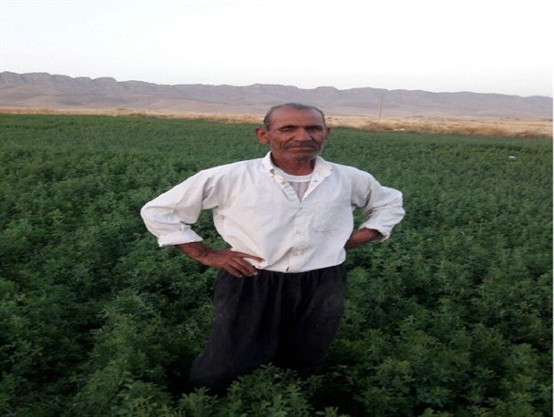 دهقان فداکار کوهدشتی به پیراهنش قناعت نکرد!