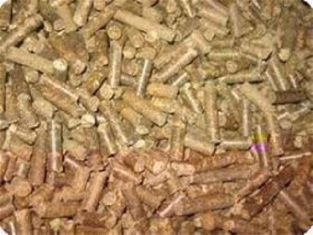 با کمبود ظرفیت ذوب کنسانتره روبرو هستیم