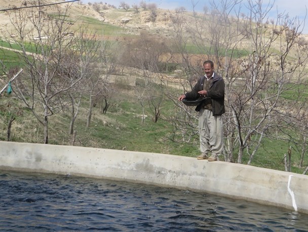 فعالیت در عرصه اقتصادمقاومتی نیاز به تلاش و پشتکار دارد