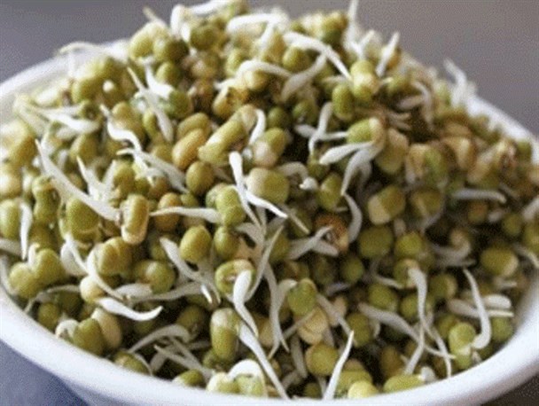 مصرف جوانه ها روند درمان سرطان و سوختگی را سرعت می بخشد