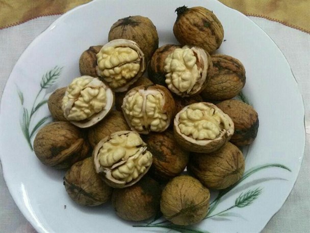 جایگاه سومی تولید گردوی جهان در دست ایران