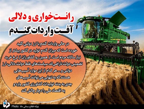 قیمت غیرمنطقی خرید تضمینی گندم، تولید را متوقف می‌کند/ رانت‌خواری و دلالی، آفت واردات گندم