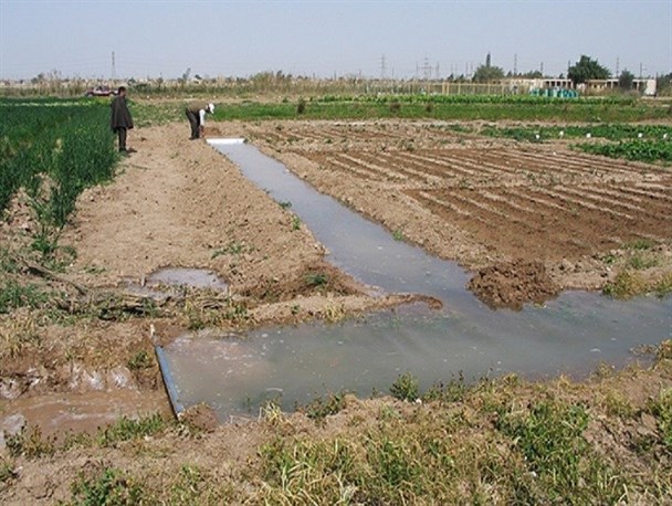 عبور کانال فاضلاب از میان مزارع شهرستان بهارستان