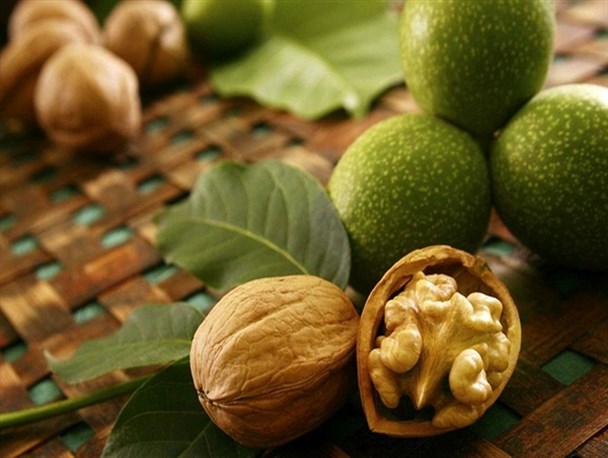 دنیا گردو را به نام تویسرکان می شناسد/ برای راه اندازی بازار تخصصی گردو وحدتی در تویسرکان نیست!