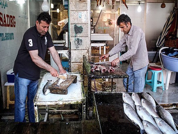 آغاز فعالیت بازار ماهی ساری/ ماهی کفال 16 هزار تومان