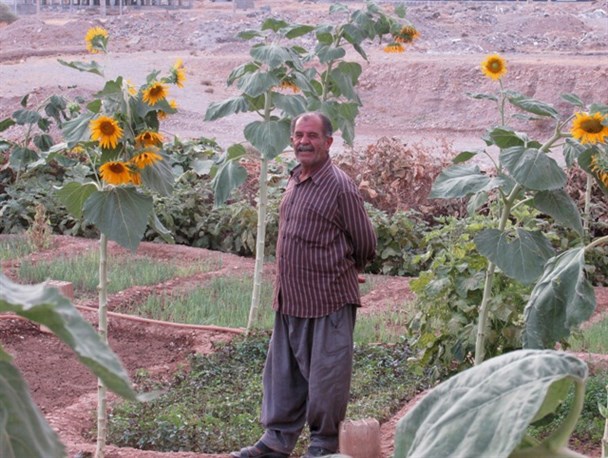 سرزمین گل های عاشق "عمو محمد"در گچساران+تصاویر