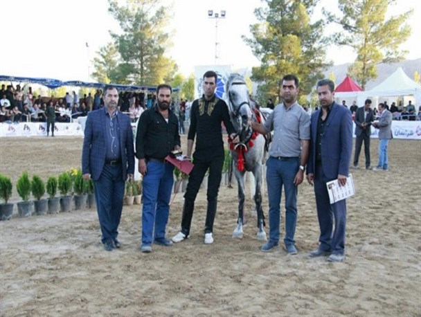 جشنواره ملی اسب اصیل دره شوری در زرقان+تصویر