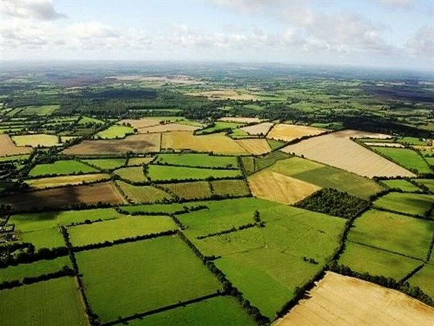 طرح پایش ماهواره ای در البرز دست متصرفان اراضی ملی را بست/ توسعه آبخیزداری و بیابان زداییِ دانش بنیان