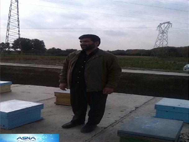 اقتصاد مقاومتی و جهاد اقتصادی در پرورش زنبور عسل