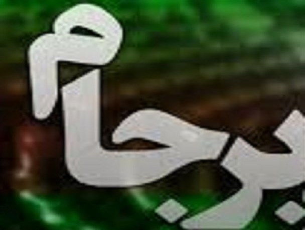 برخی ها به خواسته های رهبری در تشکیل هیئت نظارت بر برجام تمکین نمی کنند/ سهل انگاری هایی دیده می شود که قابل پذیرش نیست