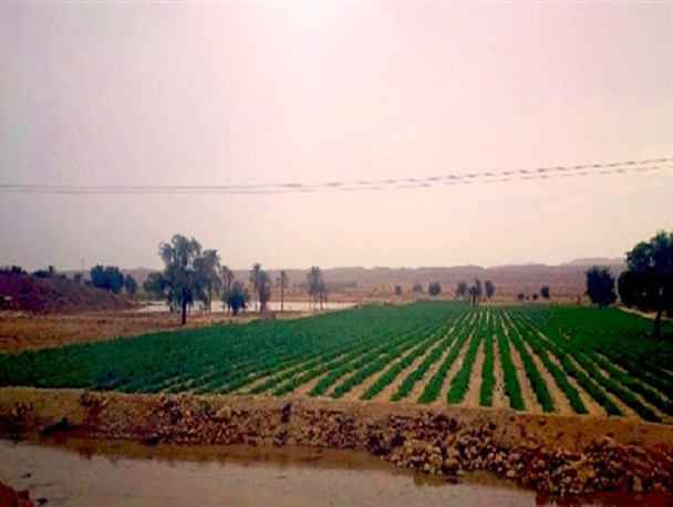 خسارت سیل به کشاورزان پارسیانی