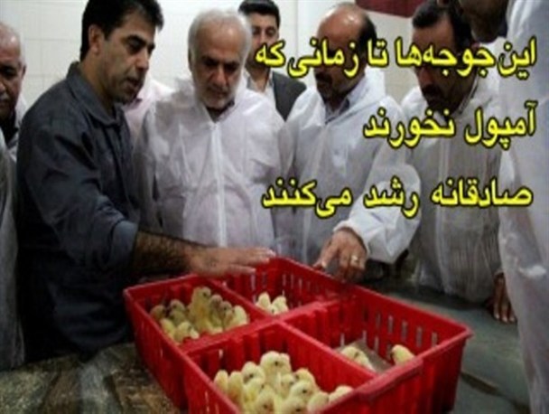 تأثیر ادبیات رئیس جمهور بر ادبیات استاندار مازندران!/دوستان شما را هم می‌شناسیم