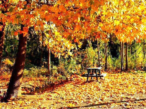 طبیعت پاییزی شهرستان درگز