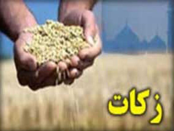بیش از 800 میلیون ریال زکات جمع آوری شده است/پرداخت زکات فرهنگ سازی شود