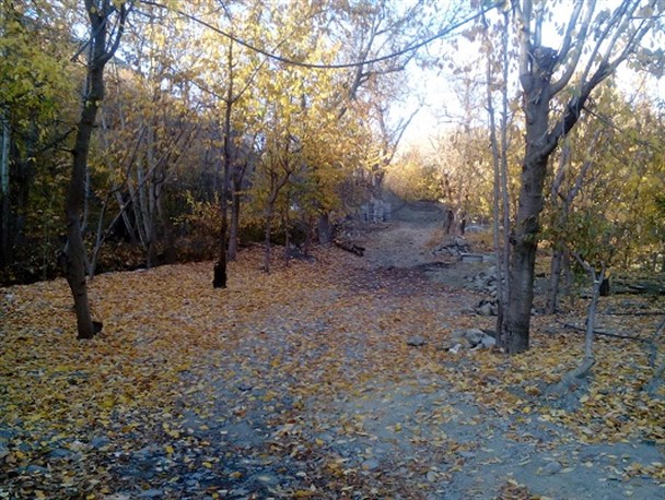 طبیعت پاییزی روستای مایان وسطی بخش طرقبه